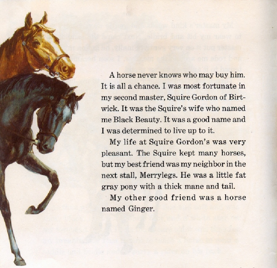 Black Beauty (06),绘本,绘本故事,绘本阅读,故事书,童书,图画书,课外阅读